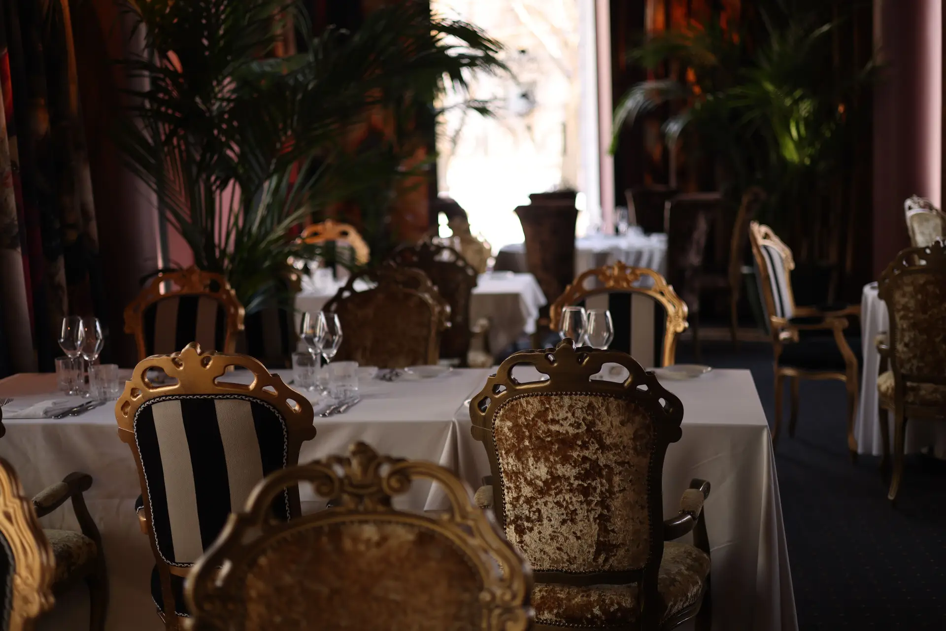 Notranjost restavracije Blueplainatelier